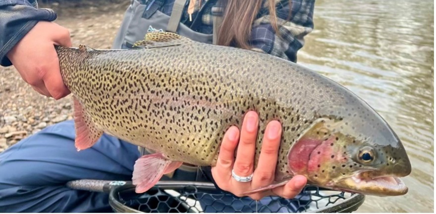 Top Flies for Fishing Spring Run-Off